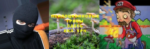 спайс Белокуриха