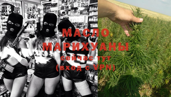 индика Белоозёрский