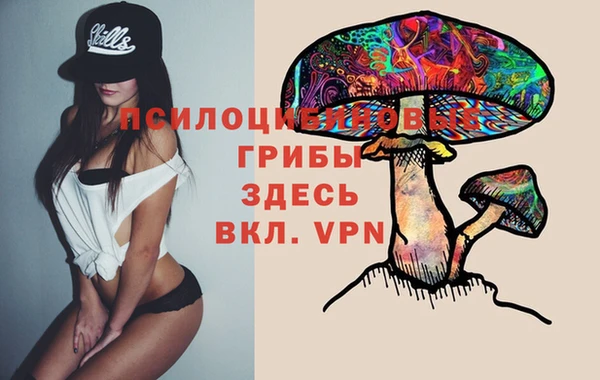 индика Белоозёрский