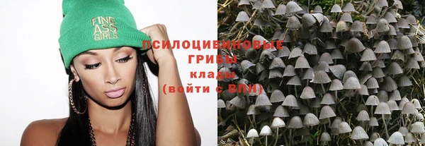индика Белоозёрский