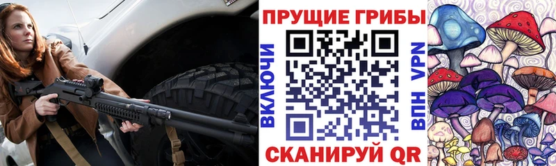 Псилоцибиновые грибы мухоморы  mega вход  Нарьян-Мар  магазин продажи  
